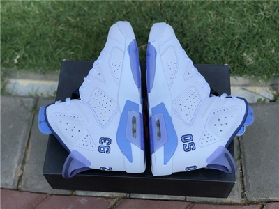 Air Jordan 6 University