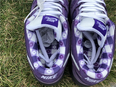 Nike Dunk SB-001