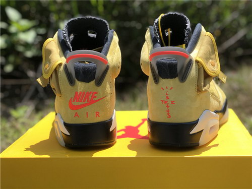 Air Jordan 6 x TS