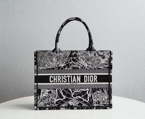 D*or handbags aaaa(women)-069