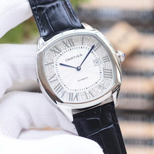 Ca*t*er watches-059