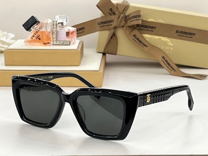 B**rry sunglasses(aaaa)-830