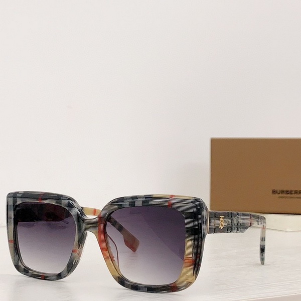 B**rry sunglasses(aaaa)-819