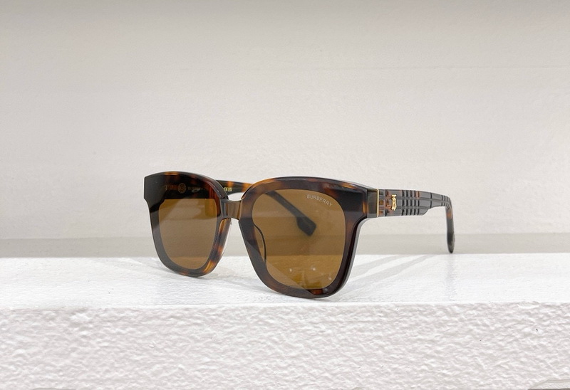 B**rry sunglasses(aaaa)-507