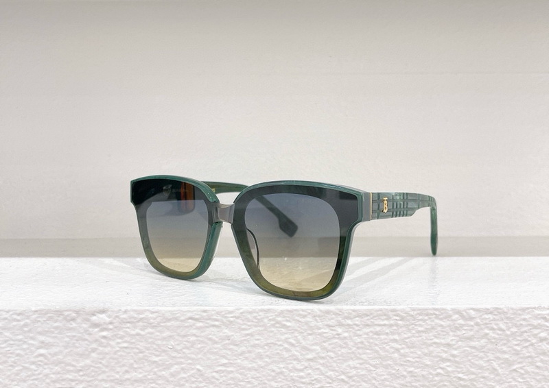 B**rry sunglasses(aaaa)-506