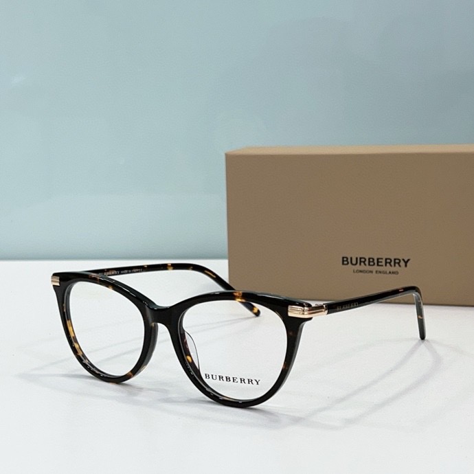 B**rry sunglasses(aaaa)-354