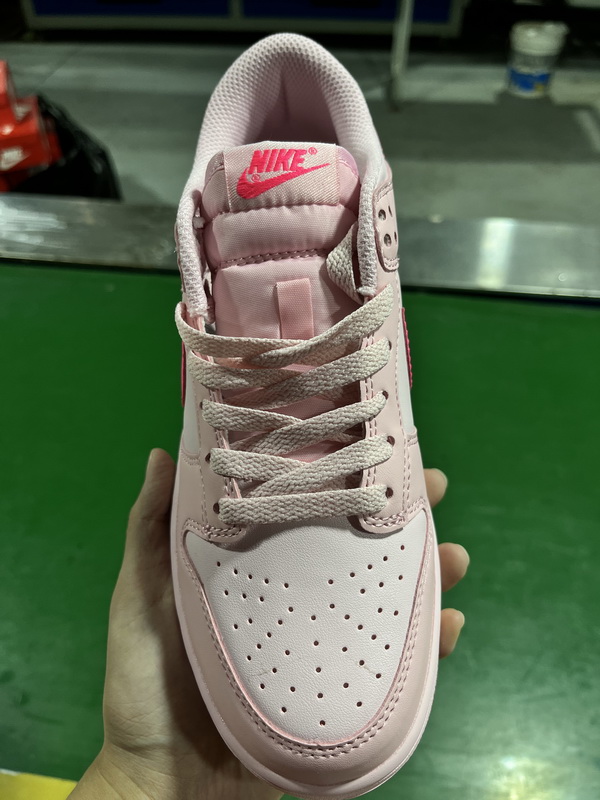NIKE SB Dunk-030
