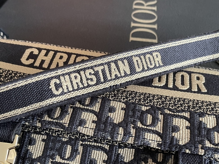 D*or handbags aaa(women)-248