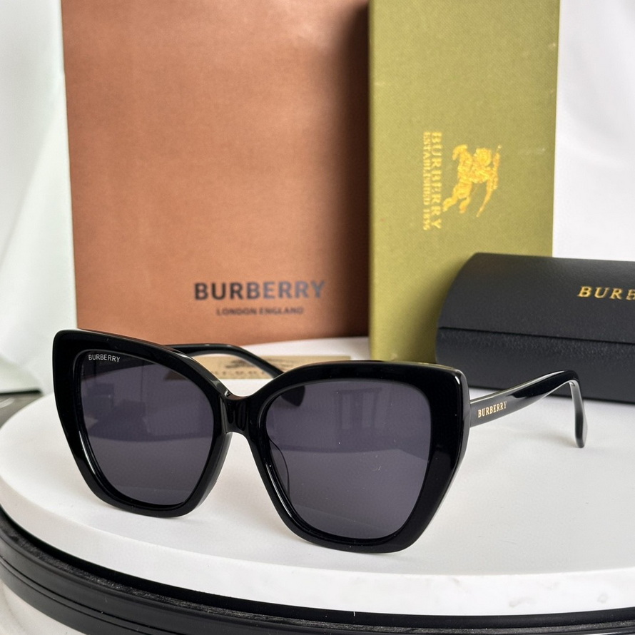B**rry sunglasses(aaaa)-1181