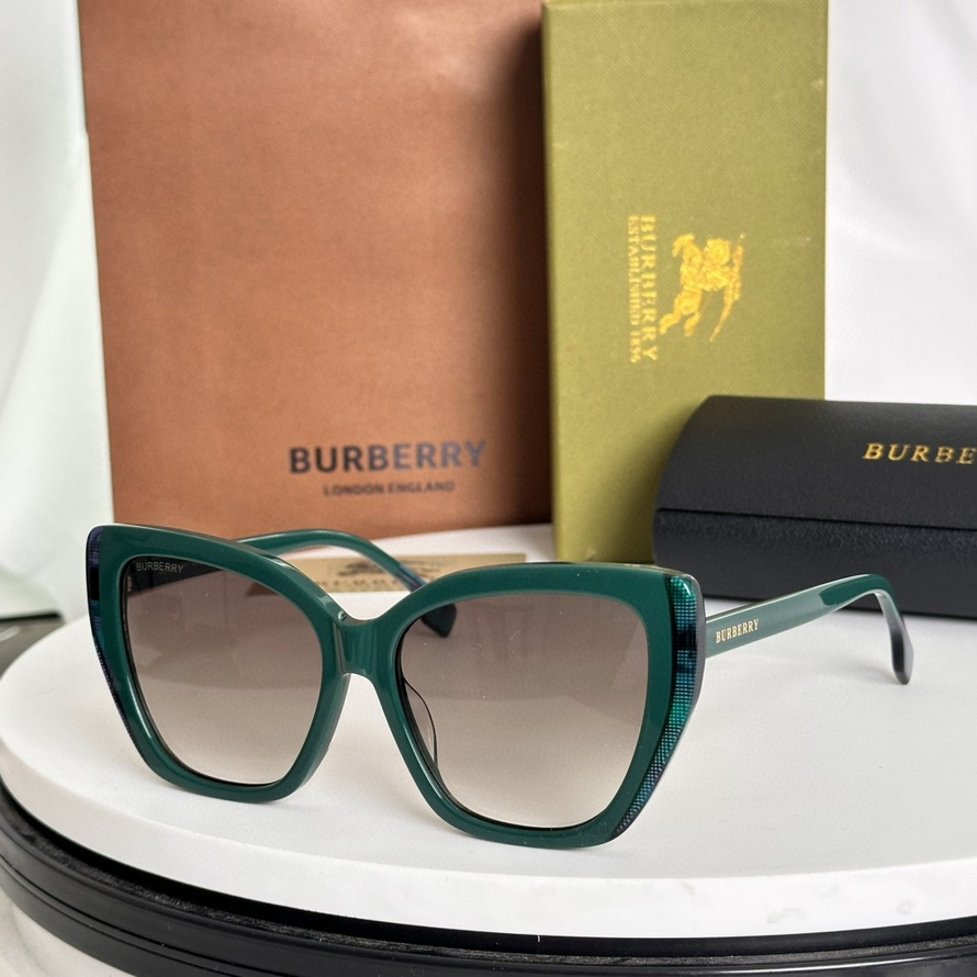 B**rry sunglasses(aaaa)-1180