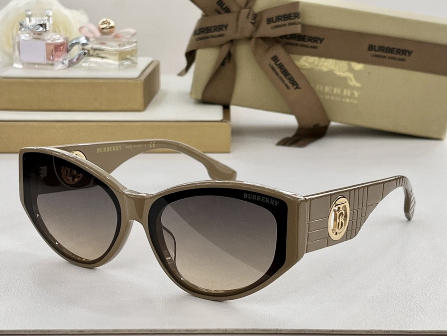 B**rry sunglasses(aaaa)-1138