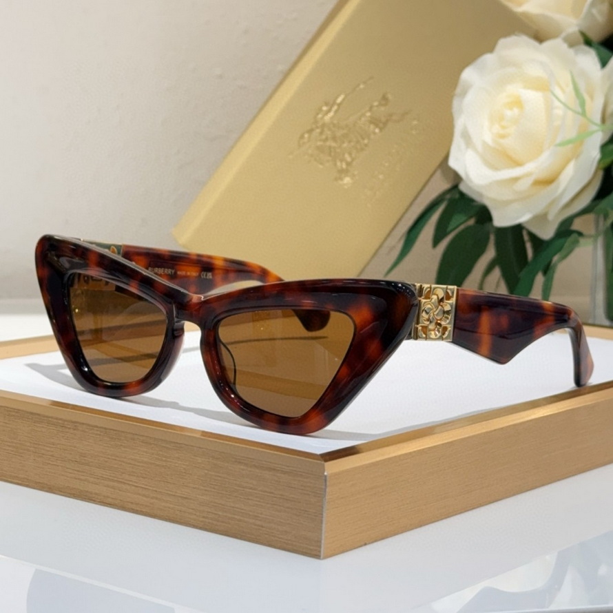 B**rry sunglasses(aaaa)-1125