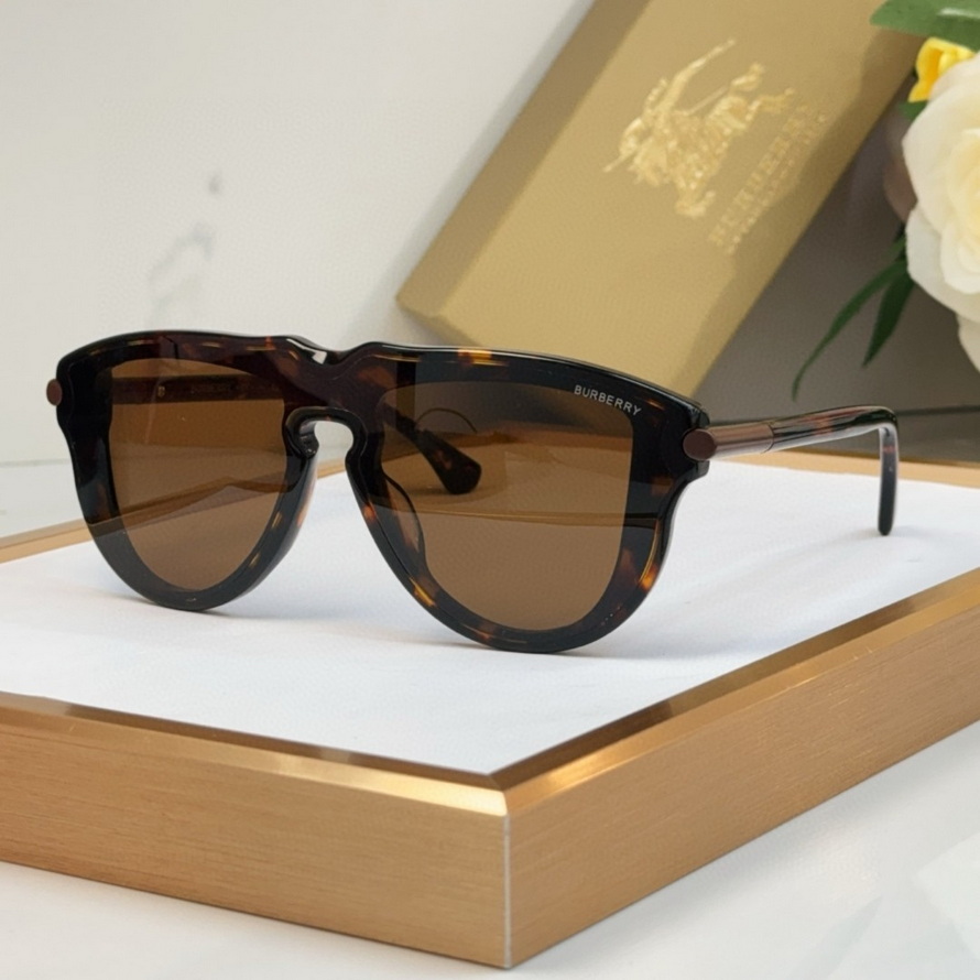 B**rry sunglasses(aaaa)-1118