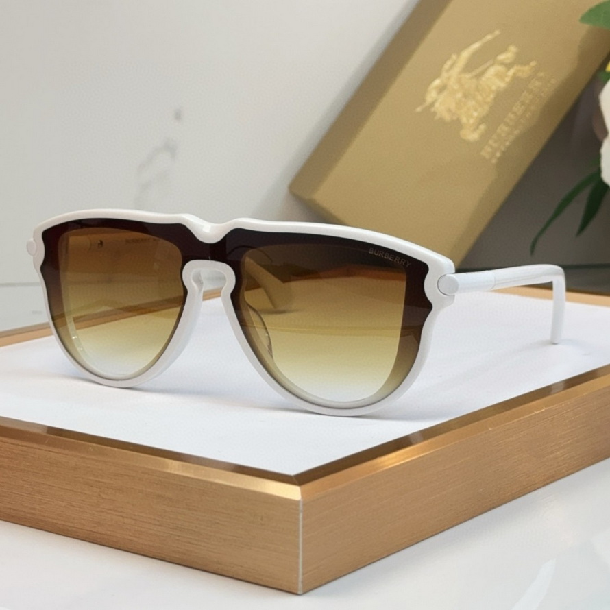 B**rry sunglasses(aaaa)-1115