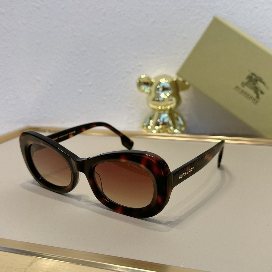 B**rry sunglasses(aaaa)-1106