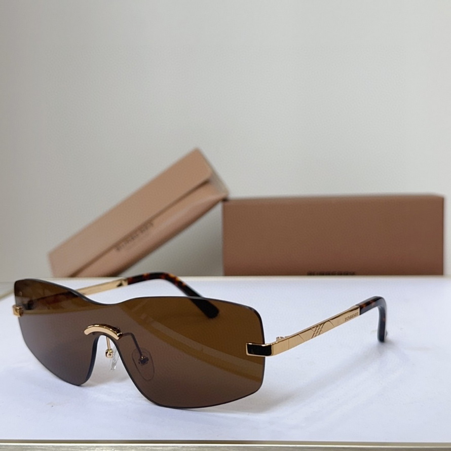 B**rry sunglasses(aaaa)-1088