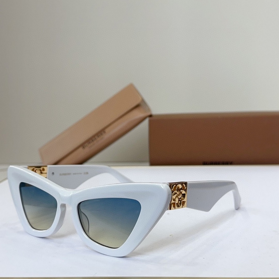 B**rry sunglasses(aaaa)-1081