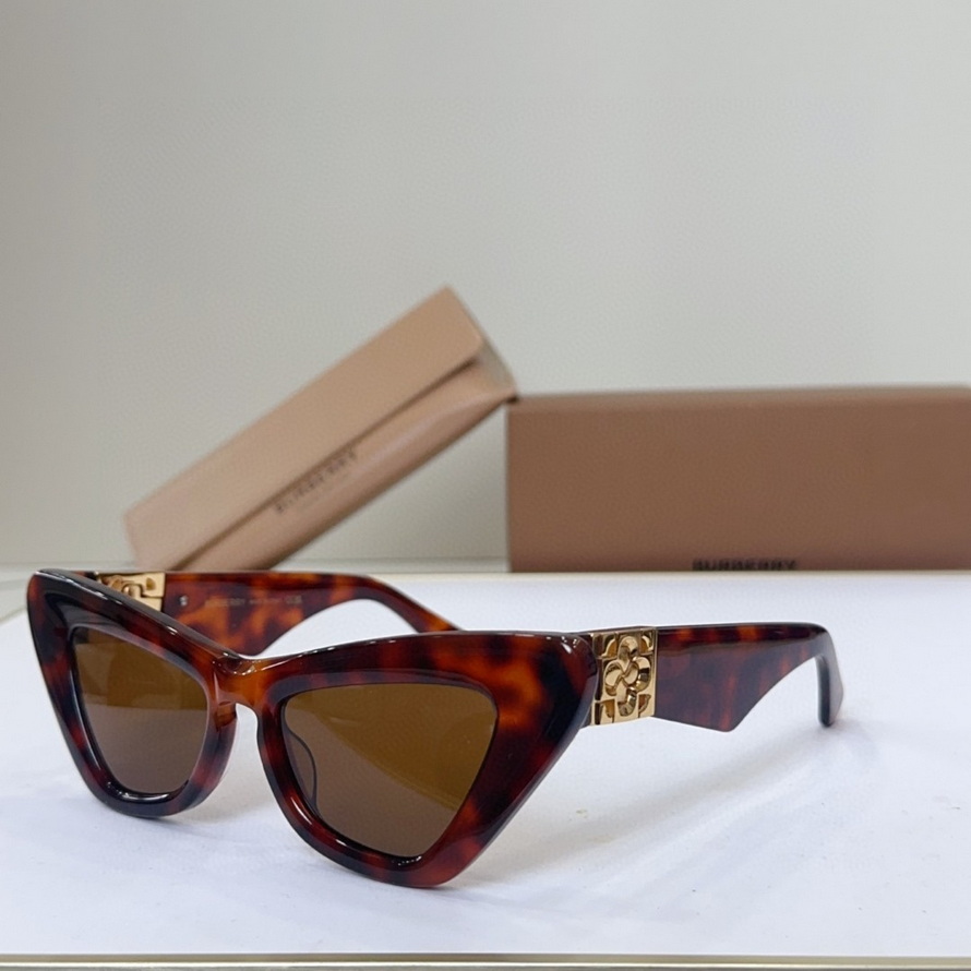 B**rry sunglasses(aaaa)-1080