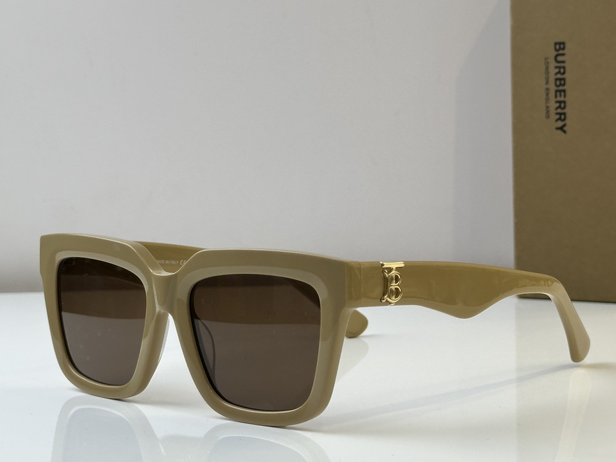 B**rry sunglasses(aaaa)-1043
