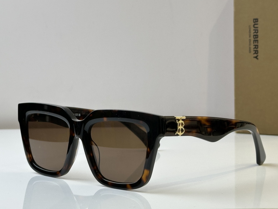 B**rry sunglasses(aaaa)-1039