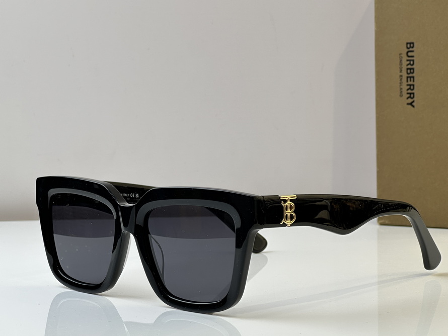 B**rry sunglasses(aaaa)-1035
