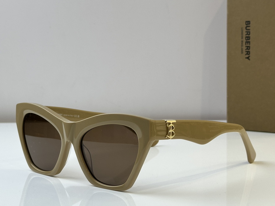 B**rry sunglasses(aaaa)-1032