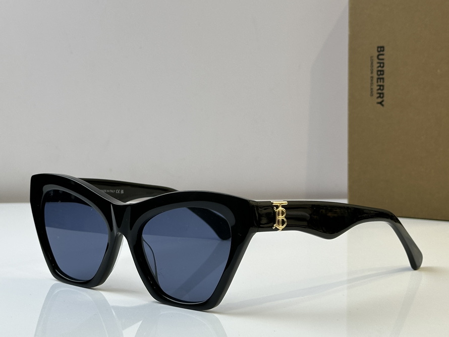 B**rry sunglasses(aaaa)-1031