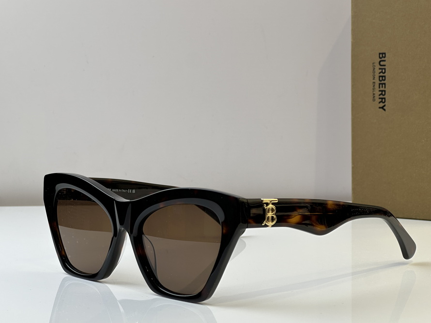 B**rry sunglasses(aaaa)-1030