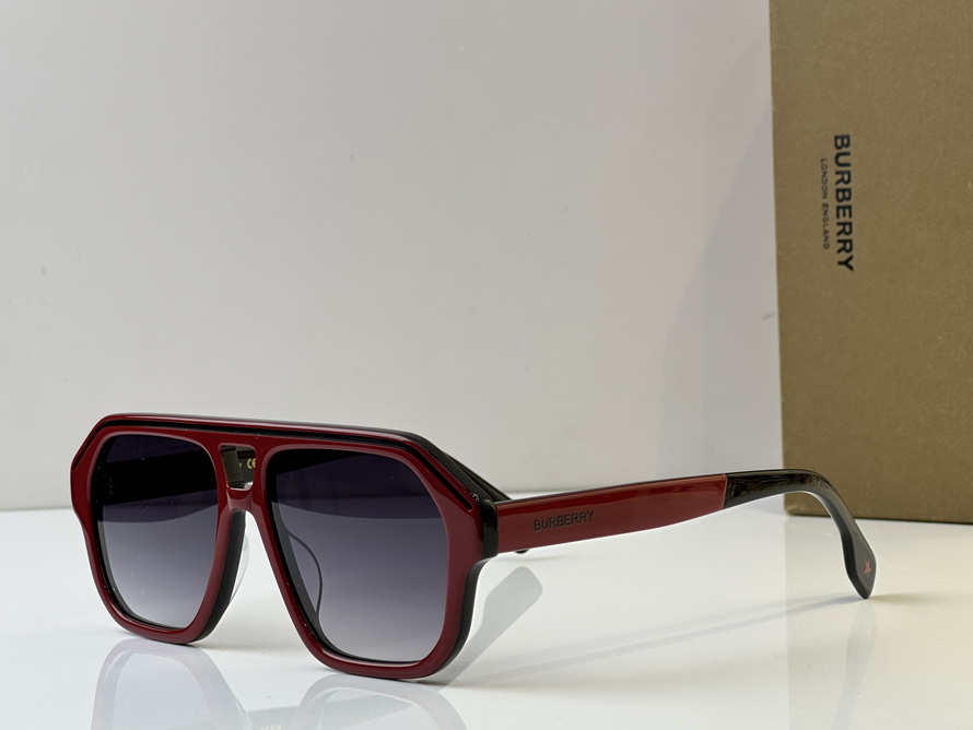 B**rry sunglasses(aaaa)-1025