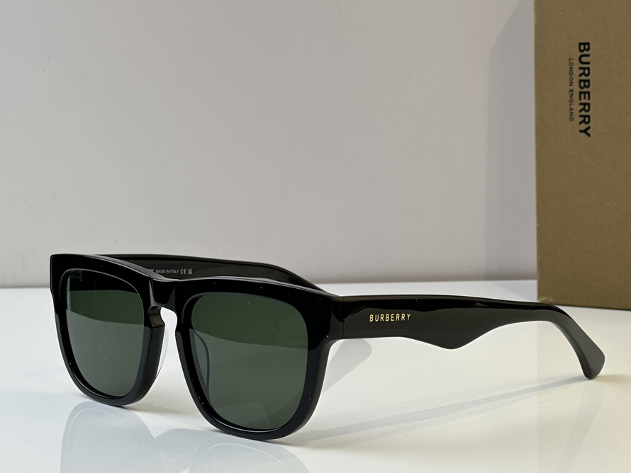 B**rry sunglasses(aaaa)-1019