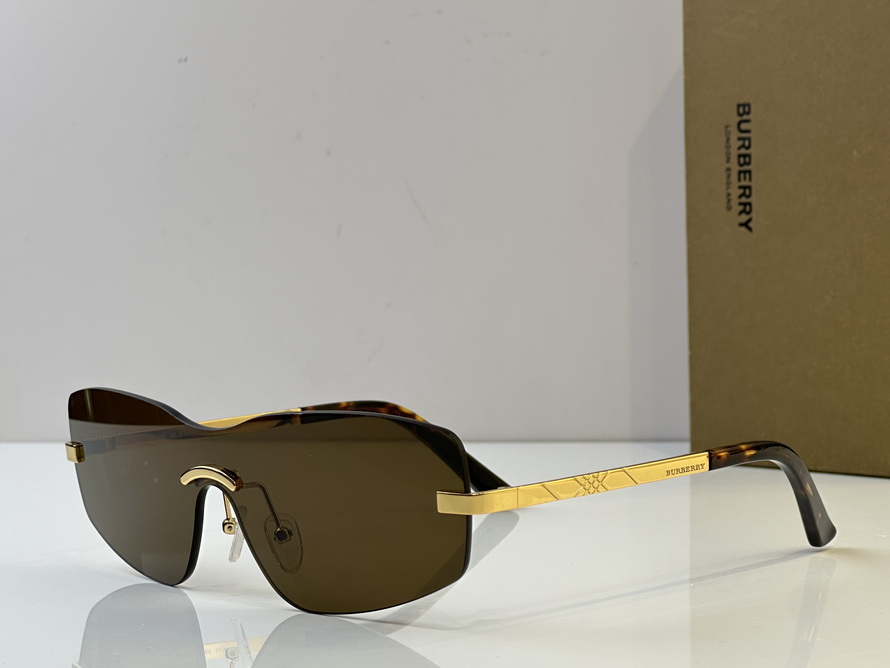 B**rry sunglasses(aaaa)-1016