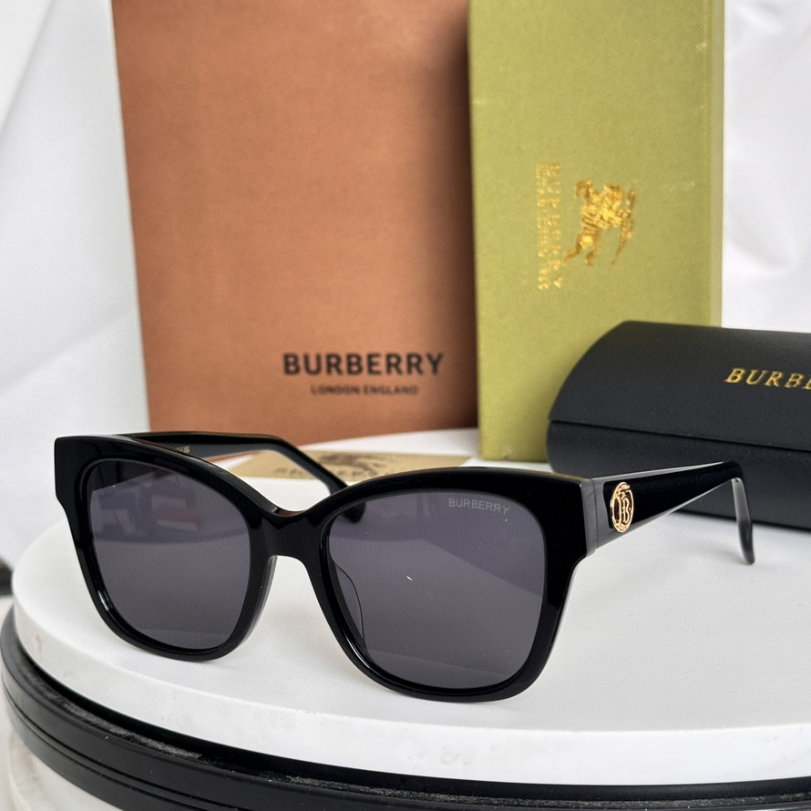 B**rry sunglasses(aaaa)-1000