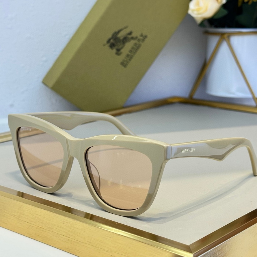 B**rry sunglasses(aaaa)-952