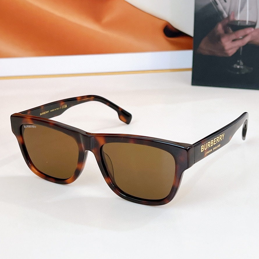 B**rry sunglasses(aaaa)-919