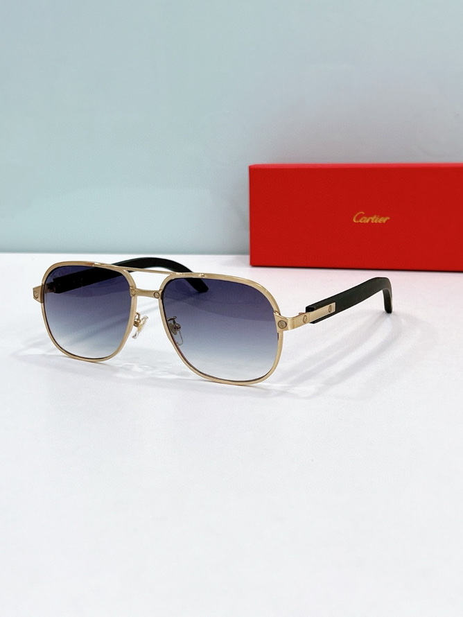 Ca*t*er sunglasses(aaaa)-1733