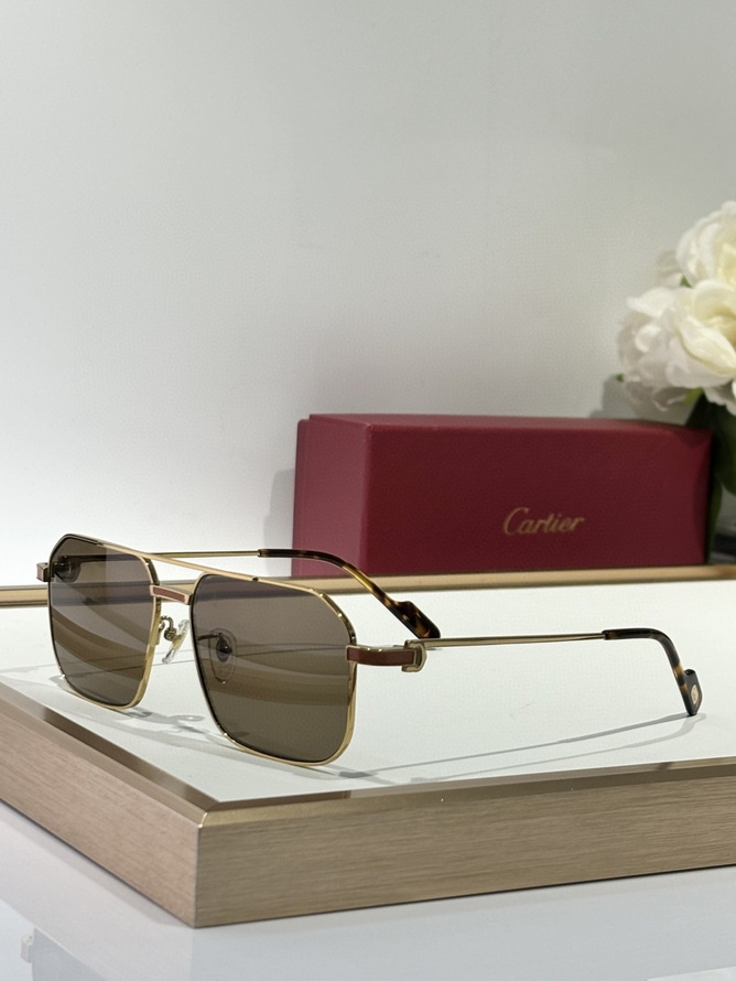 Ca*t*er sunglasses(aaaa)-1481