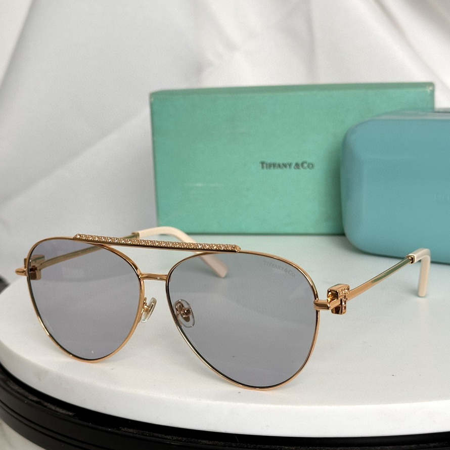 T*f*ny&co. sunglasses(aaaa)-509