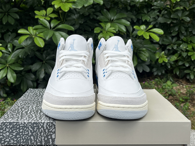 Air Jordan 3 Lucky Shorts