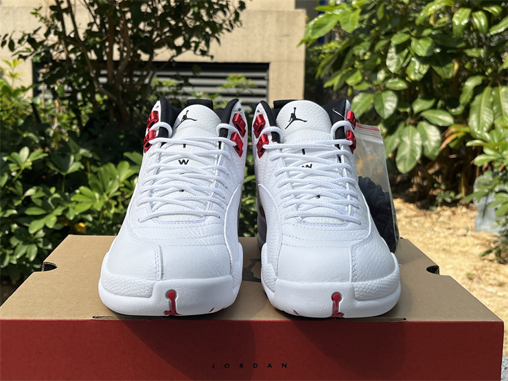 Air Jordan 12 Twist