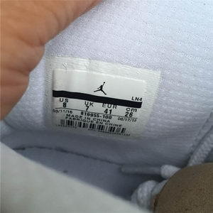 Air Jordan X Retro