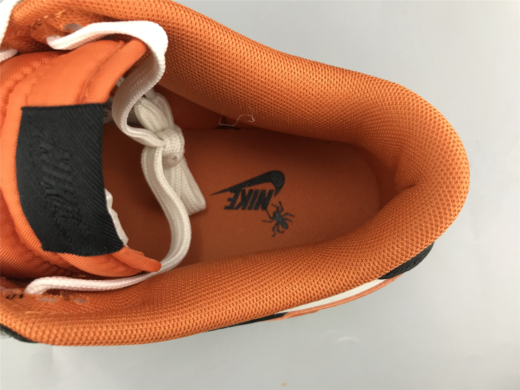 UA NIKE DUNK LOW 