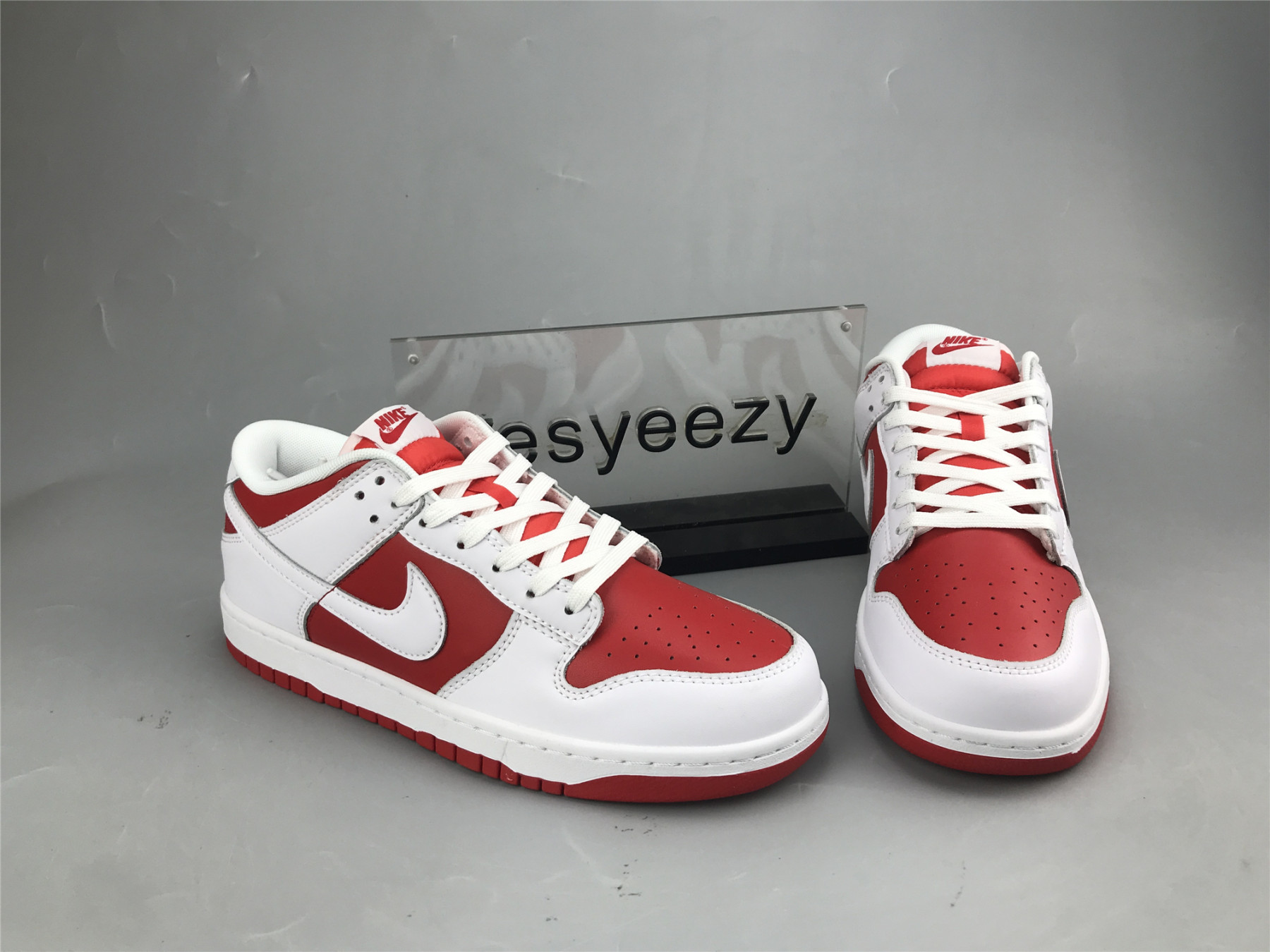 UA NIKE DUNK LOW 