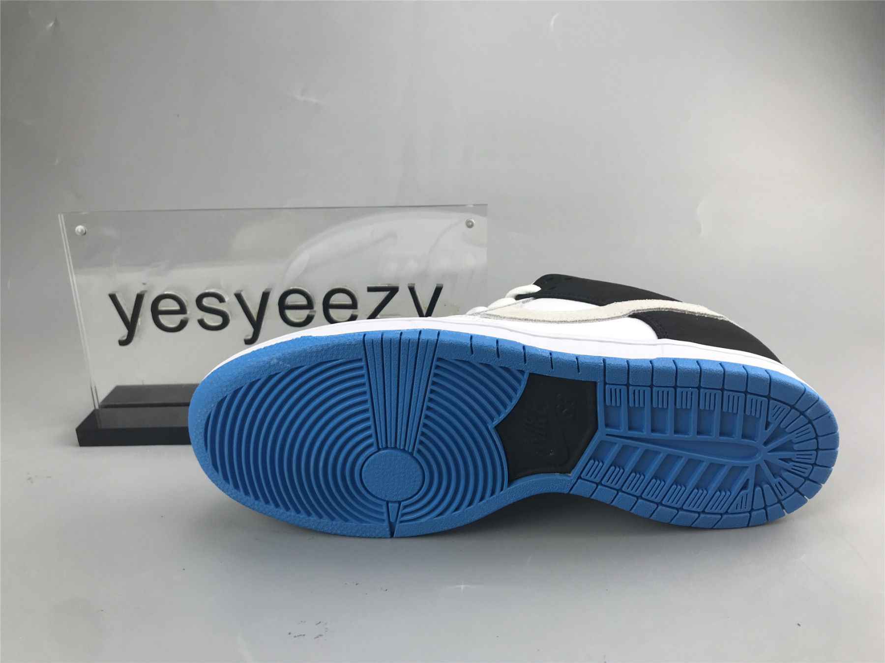 UA DUNK LOW PRO SB 