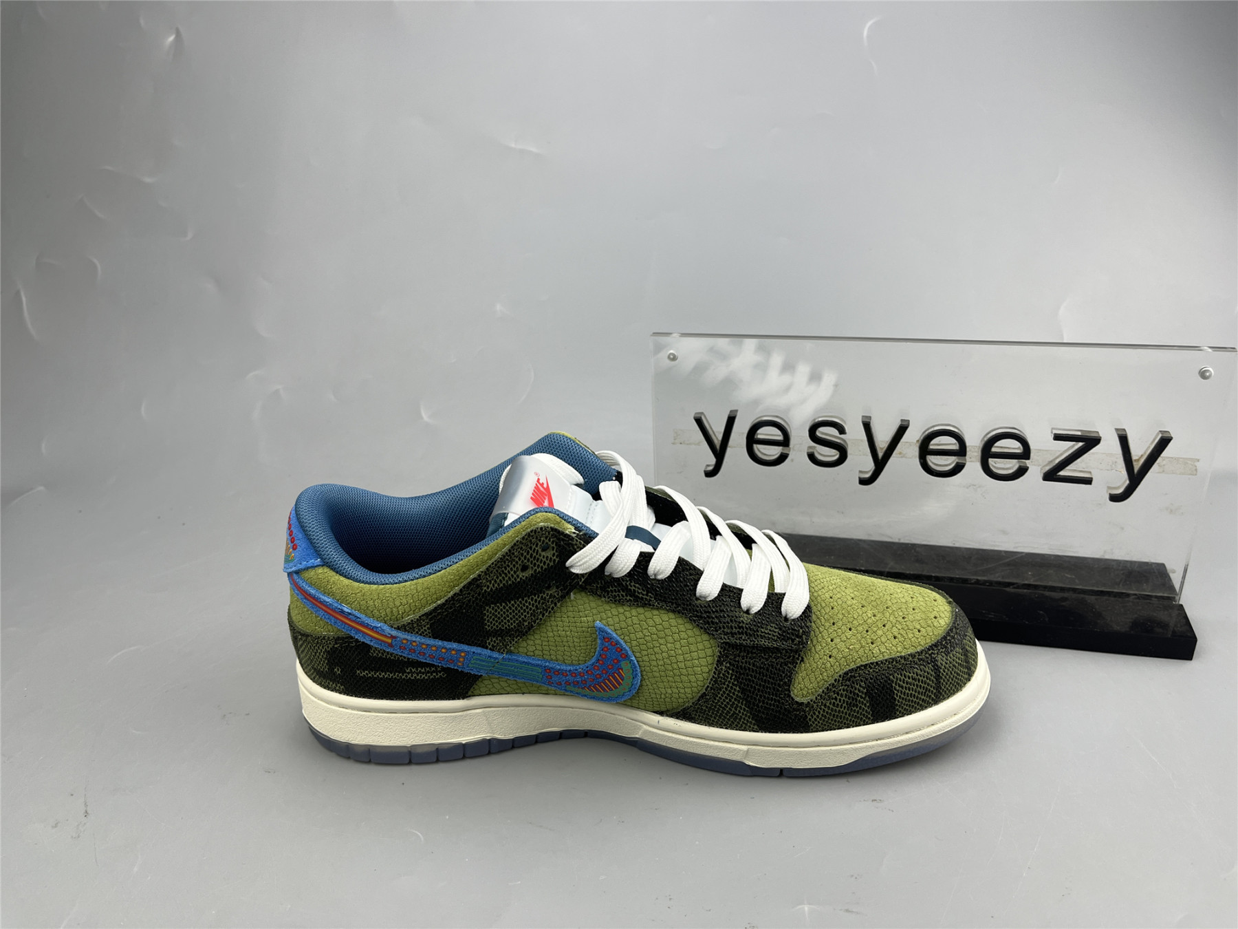 UA NIKE DUNK LOW 