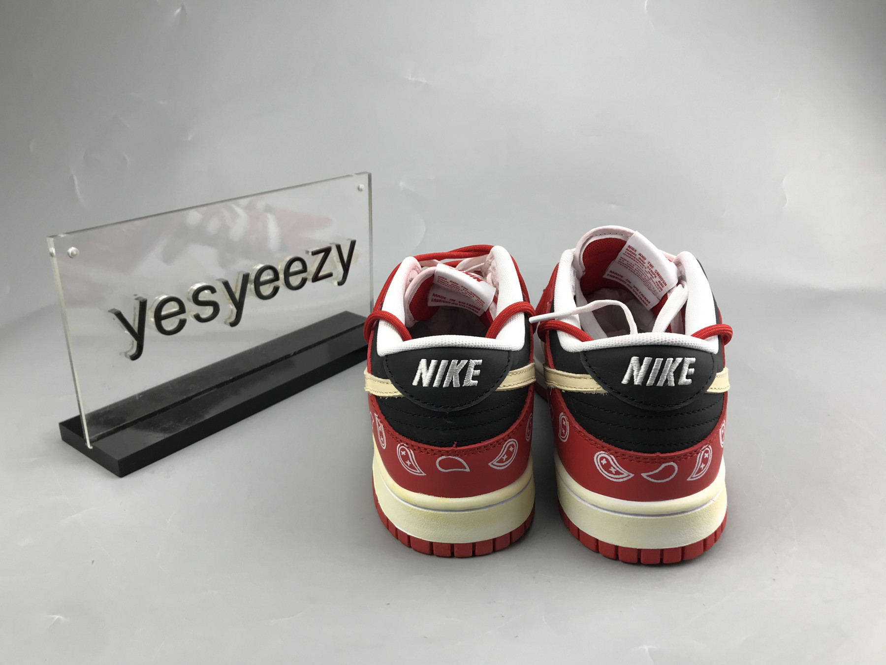 UA NIKE DUNK LOW 