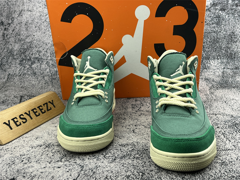 UA NINA Ch**el ABNEY X AIR JORDAN 3