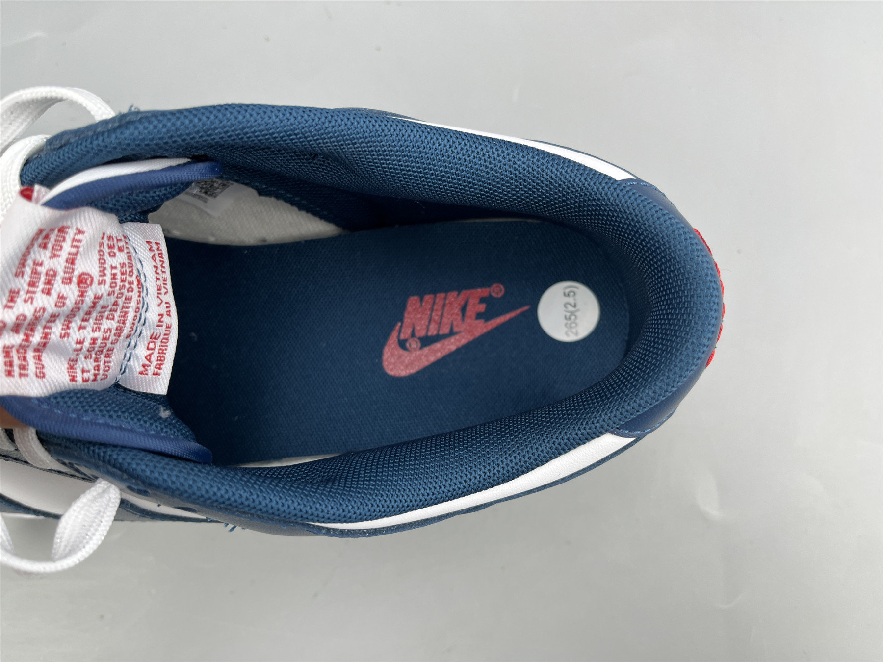 UA NIKE DUNK LOW 