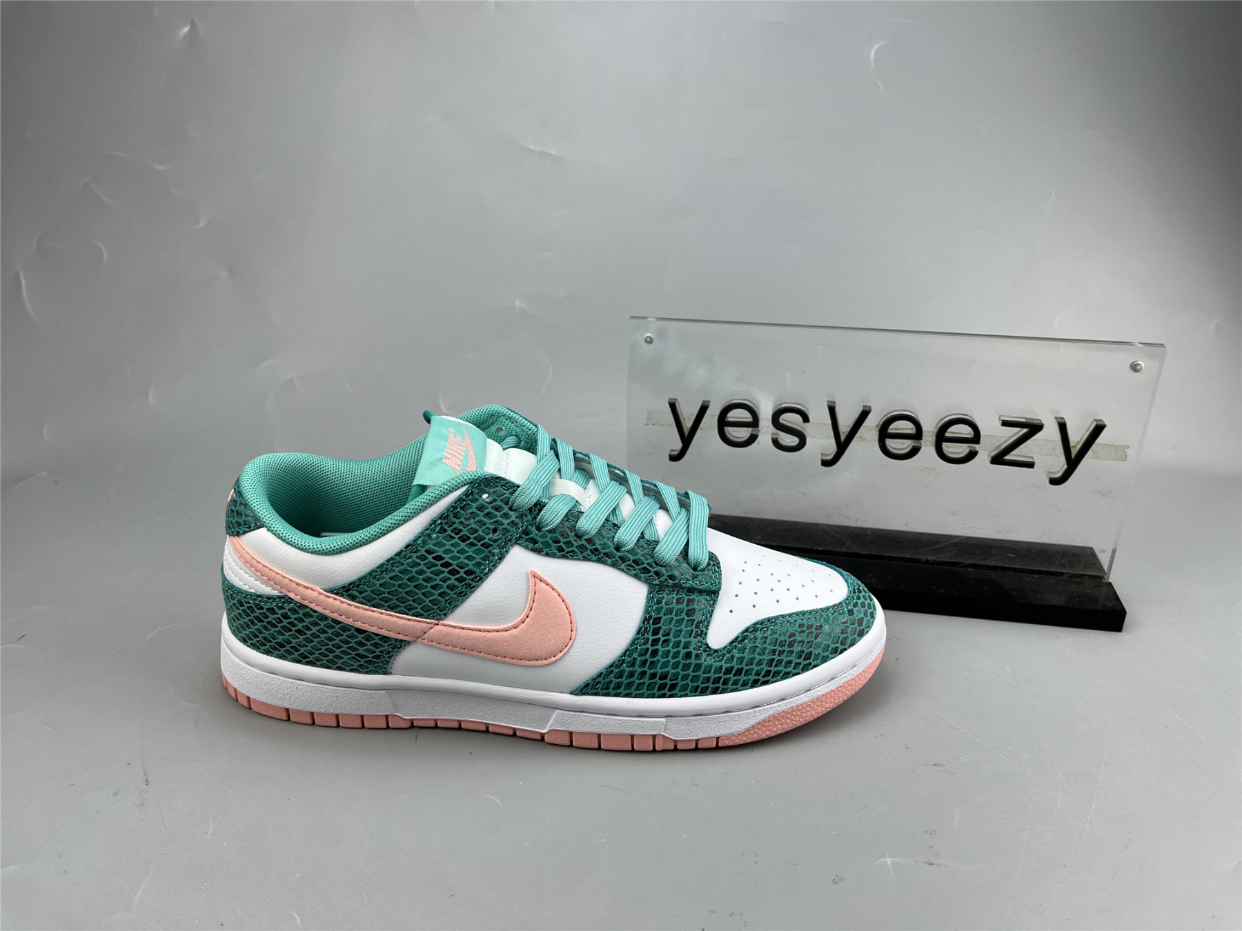 UA NIKE DUNK LOW 