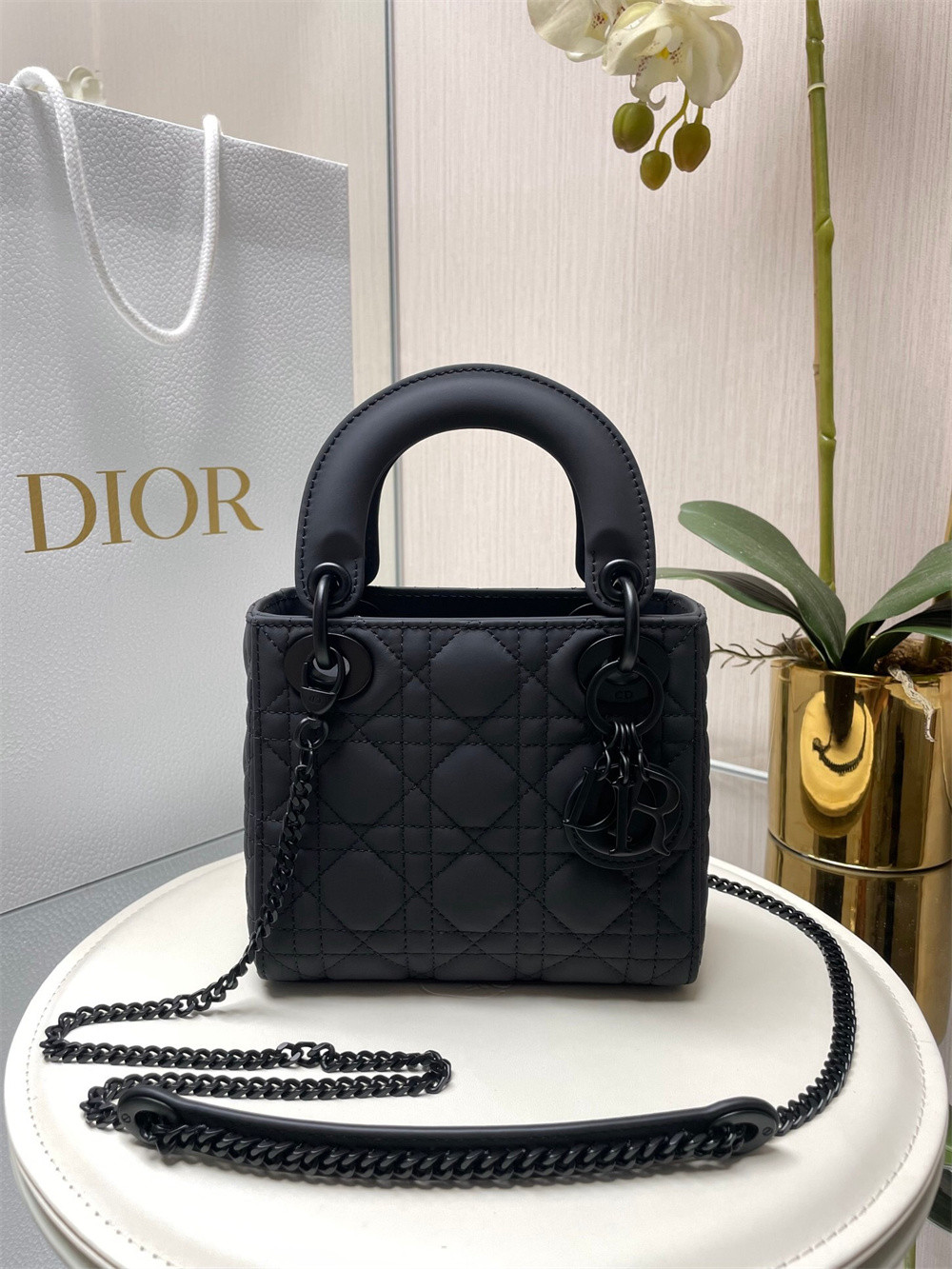 Mini Lady D10r Bag 6.5 x 6 x 3 inches