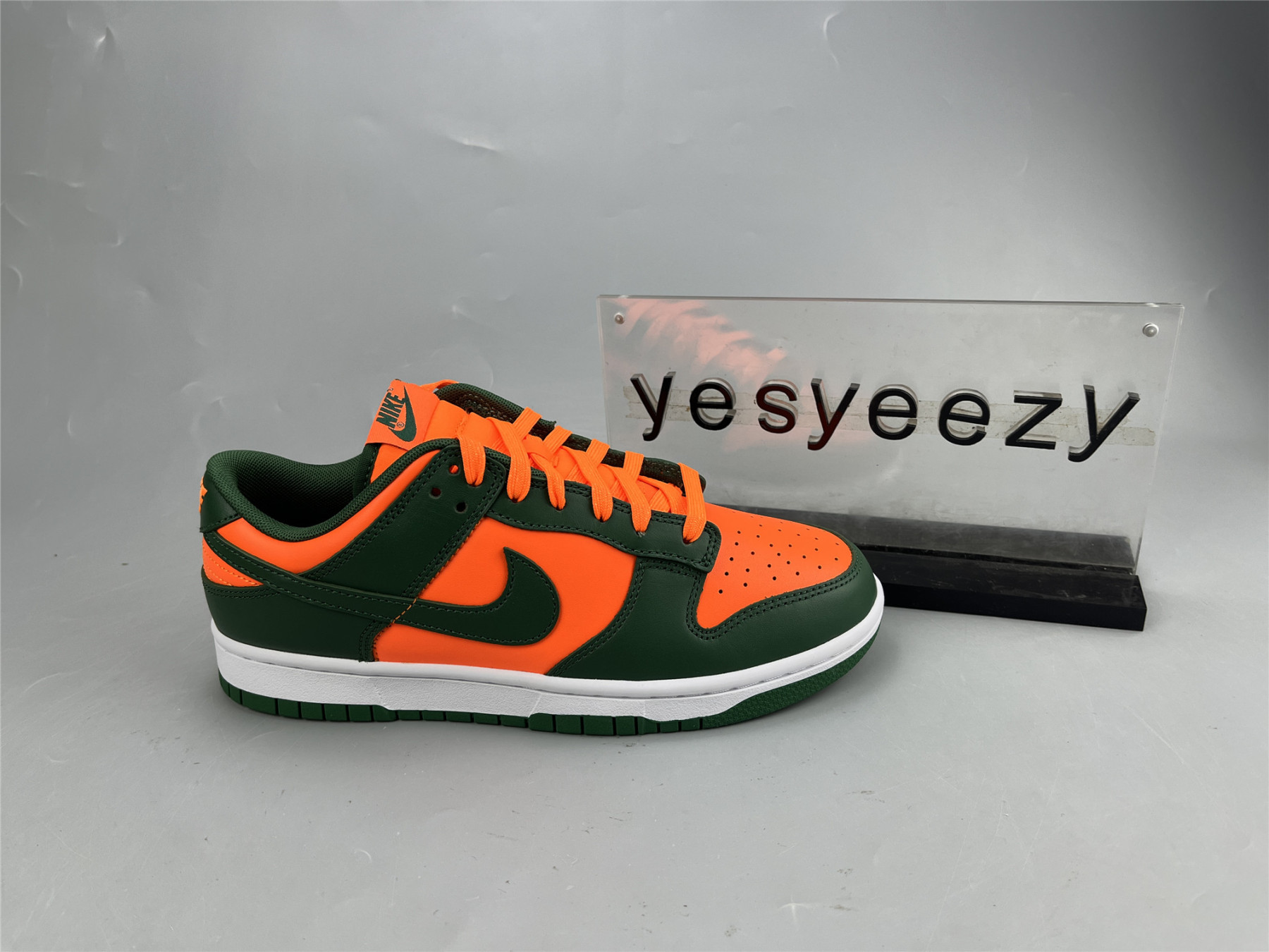 UA NIKE DUNK LOW 